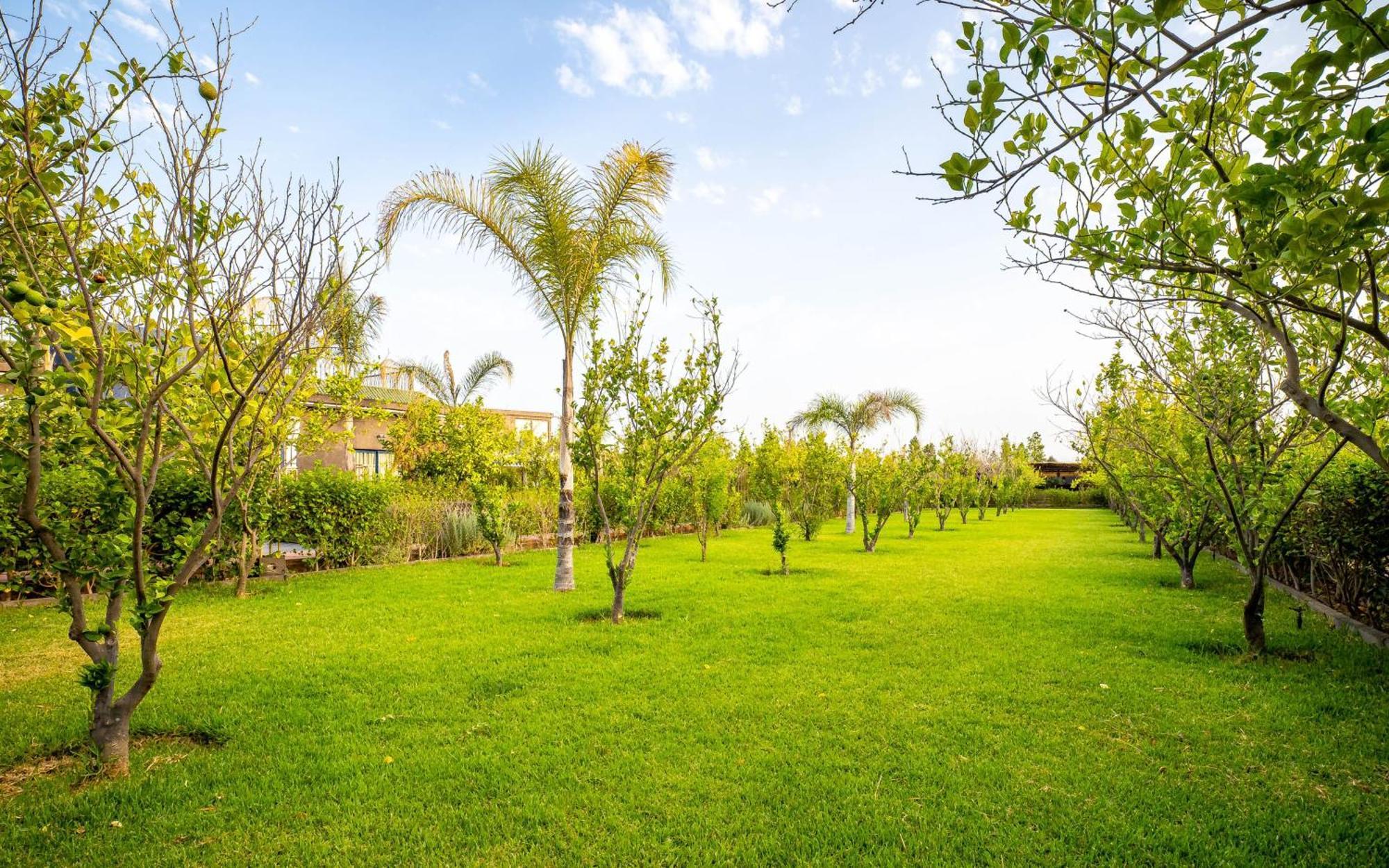 The Lemonary Marrakech Hotel Ouled Moumen Luaran gambar