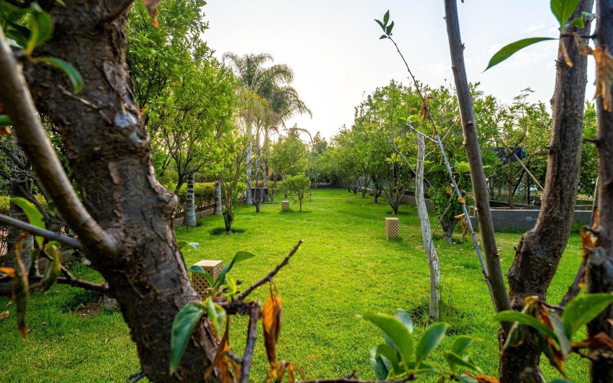 The Lemonary Marrakech Hotel Ouled Moumen Luaran gambar