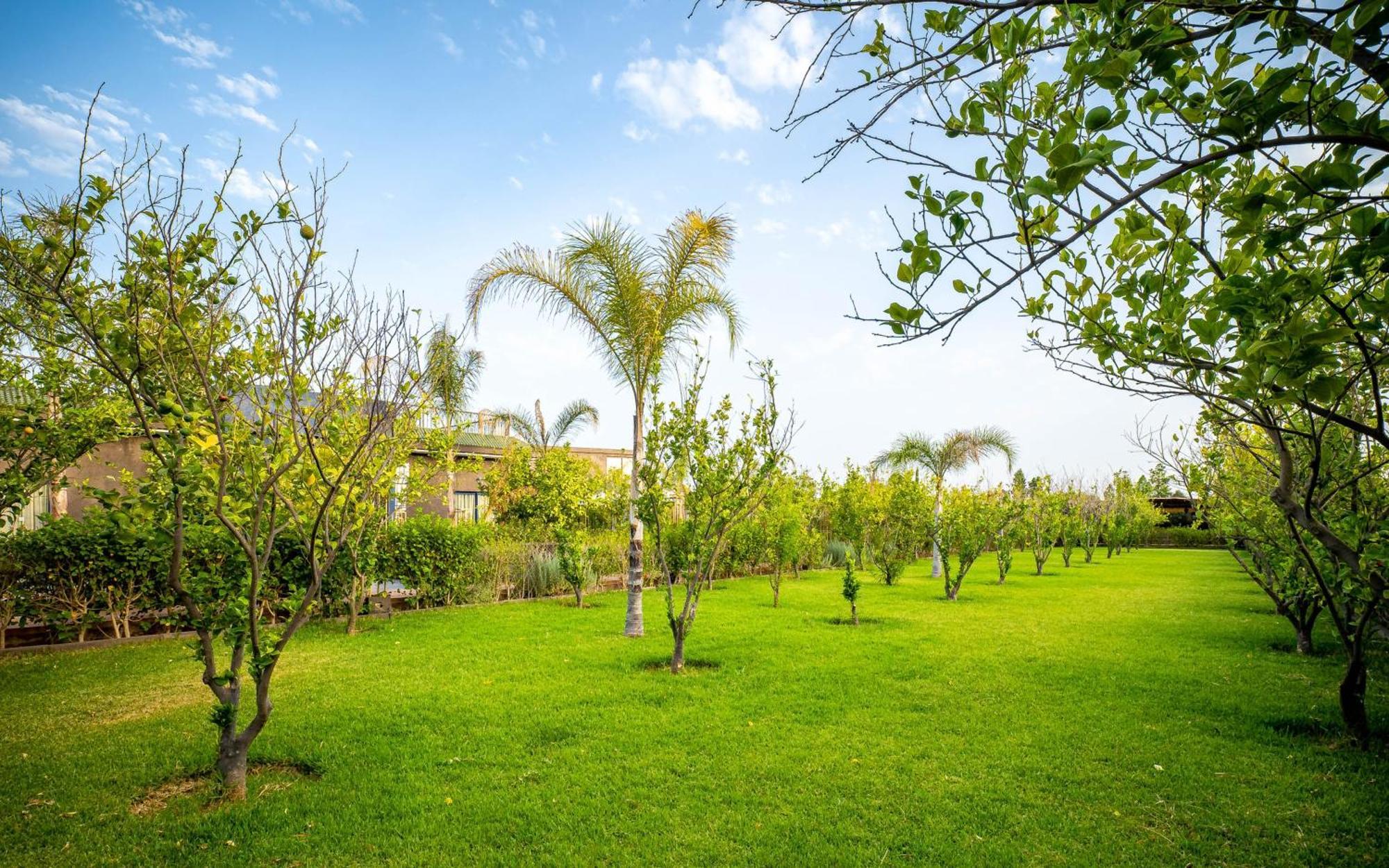The Lemonary Marrakech Hotel Ouled Moumen Luaran gambar