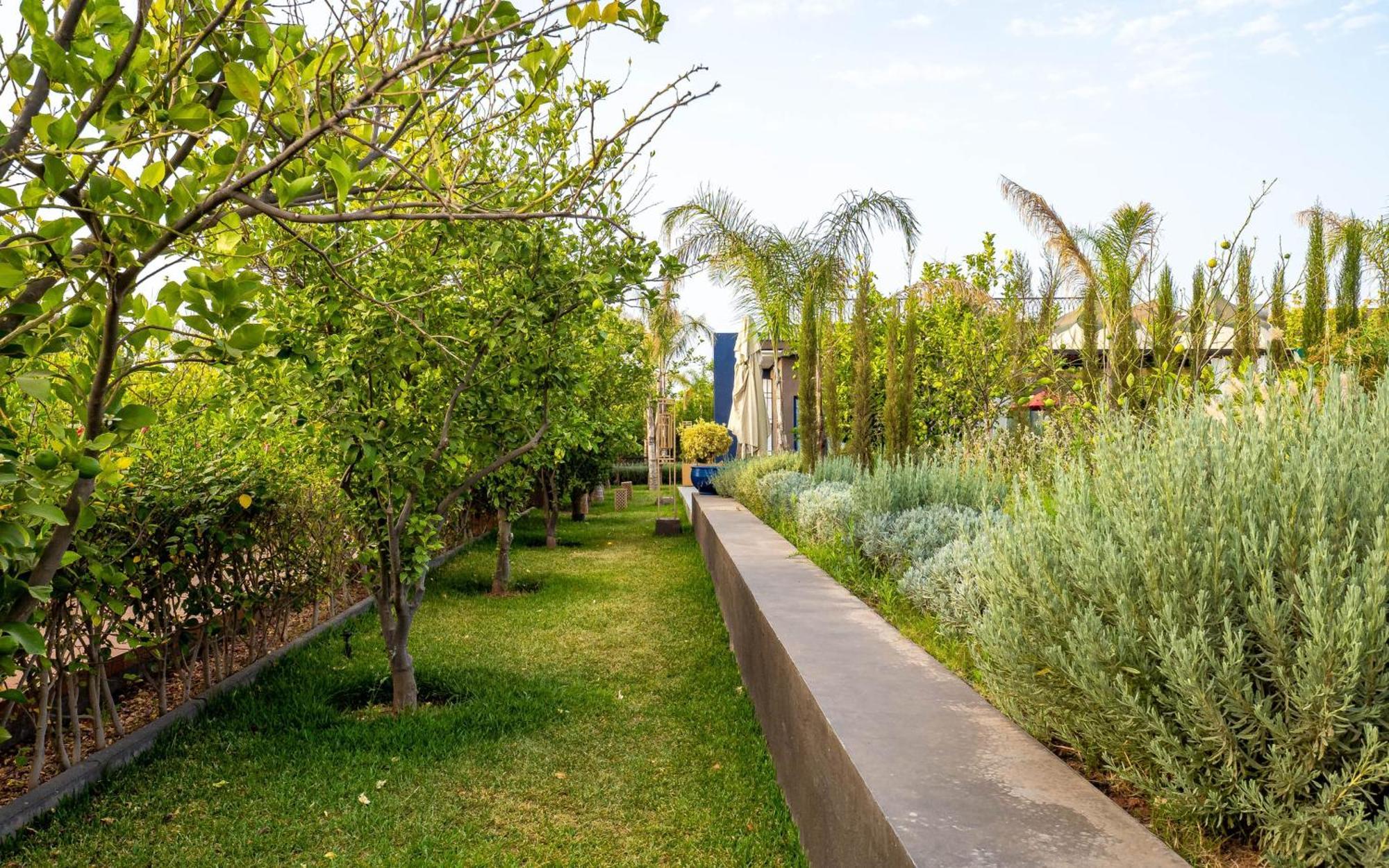 The Lemonary Marrakech Hotel Ouled Moumen Luaran gambar