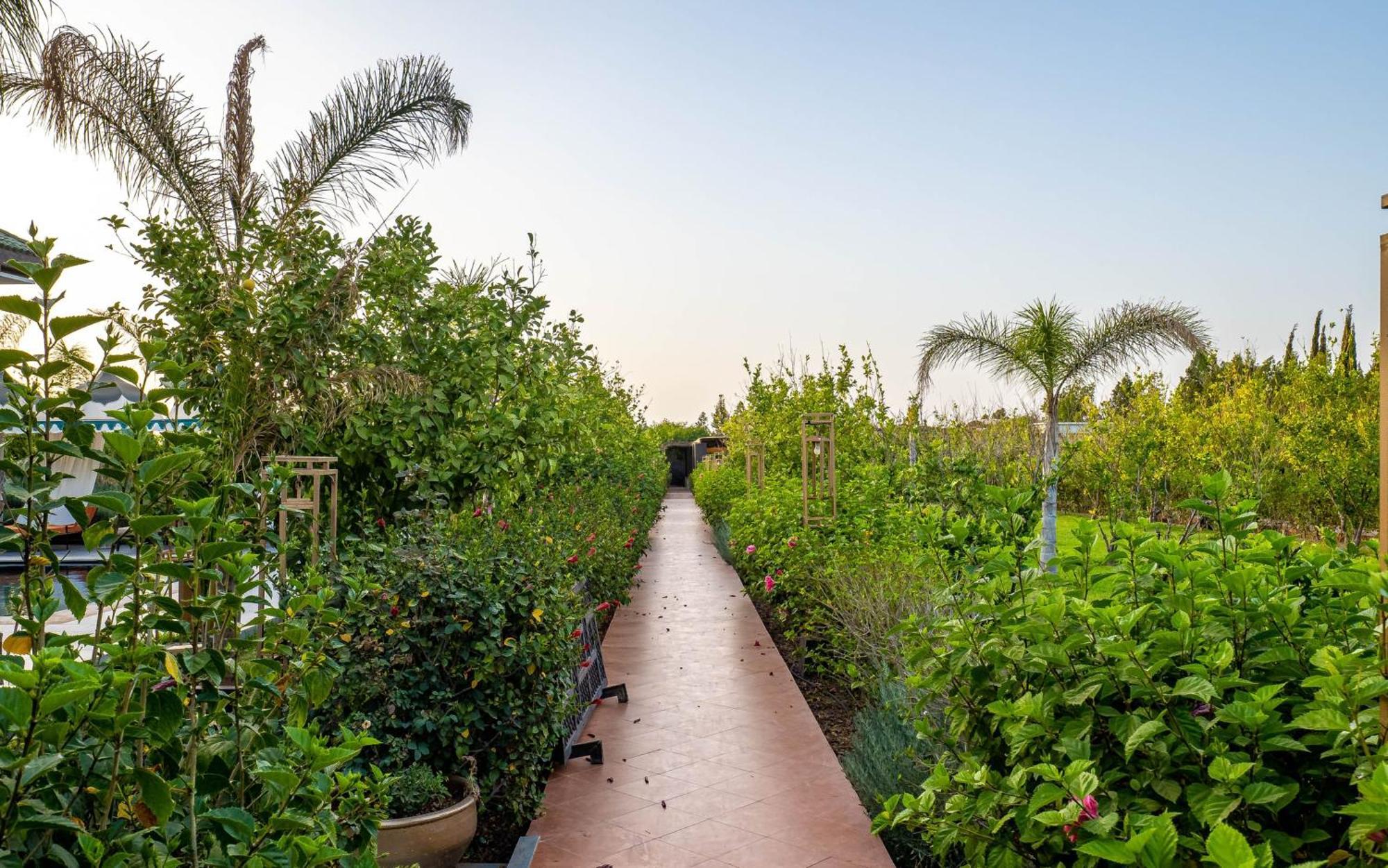 The Lemonary Marrakech Hotel Ouled Moumen Luaran gambar